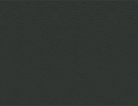 Iron Ore